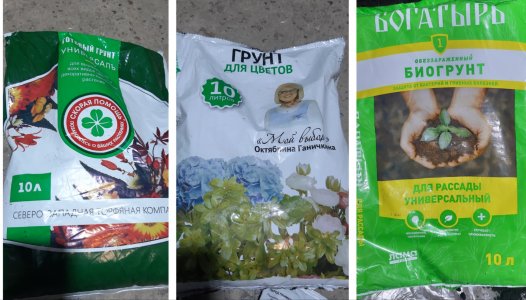 20220509_120724.jpg