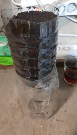 20220511_194127.jpg