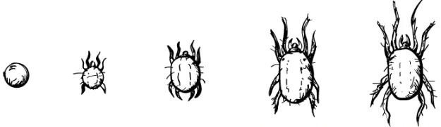 1652296915454.png 1652296915454.png