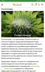 Screenshot_20251022_165543_ru.semena.sch.jpg