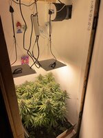 IMG_1210.jpeg