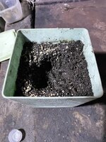 IMG_1234.jpeg