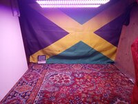 IMG_20251027_021411.jpg