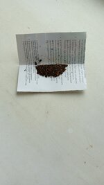 1761651564139.jpg