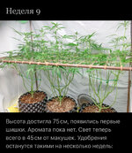 IMG_1303.jpeg