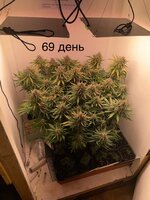 IMG_1311.jpeg