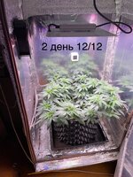 IMG_1314.jpeg