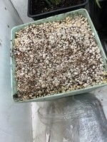 IMG_1326.jpeg