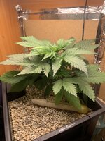 IMG_9069.jpeg