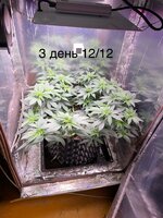 IMG_1346.jpeg
