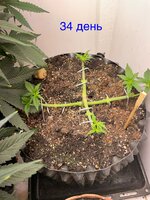 IMG_0745.jpeg