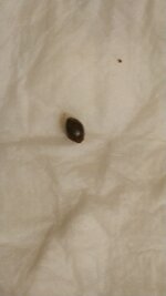 IMG_20251030_215244_454.jpg
