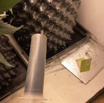 IMG_0586.jpeg