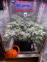 IMG_1404.jpeg