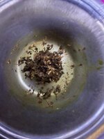 IMG_1411.jpeg