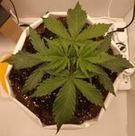 DSCF3406.JPG
