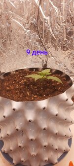 20251028_163559.jpg