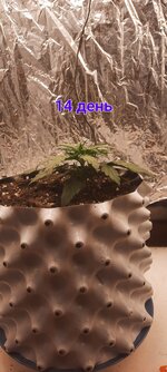 20251102_192105[1].jpg