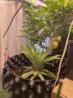 IMG_1458.jpeg