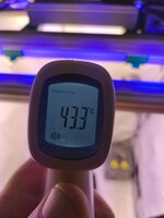 IMG_20251104_172132.jpg