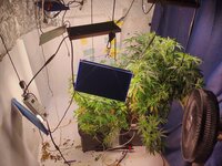 [20251101]LAST2.jpg