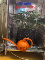 IMG_1476.jpeg