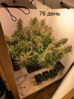IMG_1475.jpeg