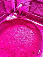 IMG_20251106_063446.jpg