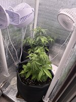 IMG_2205.jpeg