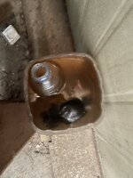 IMG_1539.jpeg