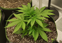 1762950222442.png