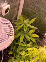 IMG_2277.jpeg