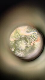 1763145401971.jpg