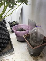 IMG_1598.jpeg