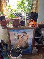 IMG_1604.jpeg