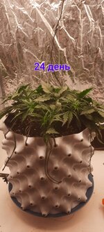 IMG_20251117_213840_598.jpg