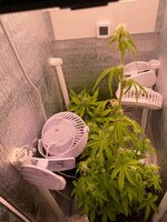 IMG_2295.JPG