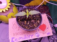 IMG_20251118_040346.jpg
