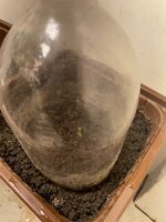 IMG_1653.jpeg