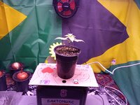 IMG_20251122_075304.jpg
