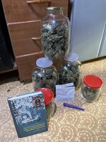 IMG_1675.jpeg