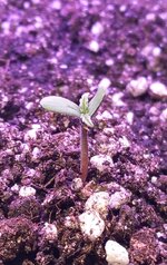 IMG-20251122-WA0005.jpg