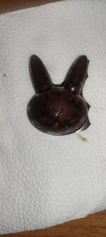 IMG_20251118_212918.jpg