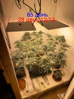 IMG_1698.jpeg