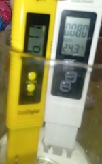 1000022183.jpg