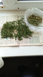 IMG_20251125_132823_161.jpg