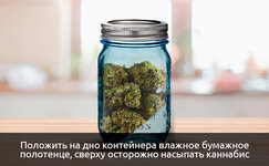 polozhite-na-dno-kontejnera-vlazhnoe-bumazhnoe-polotence__wcjyh6EIaIyPsd5i.jpg