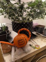 IMG_1764.jpeg
