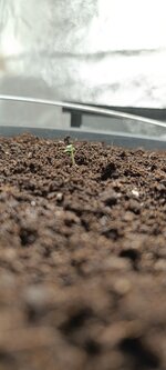 IMG_20251201_130724.jpg