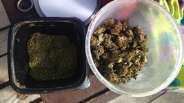 IMG_20251031_135033.jpg